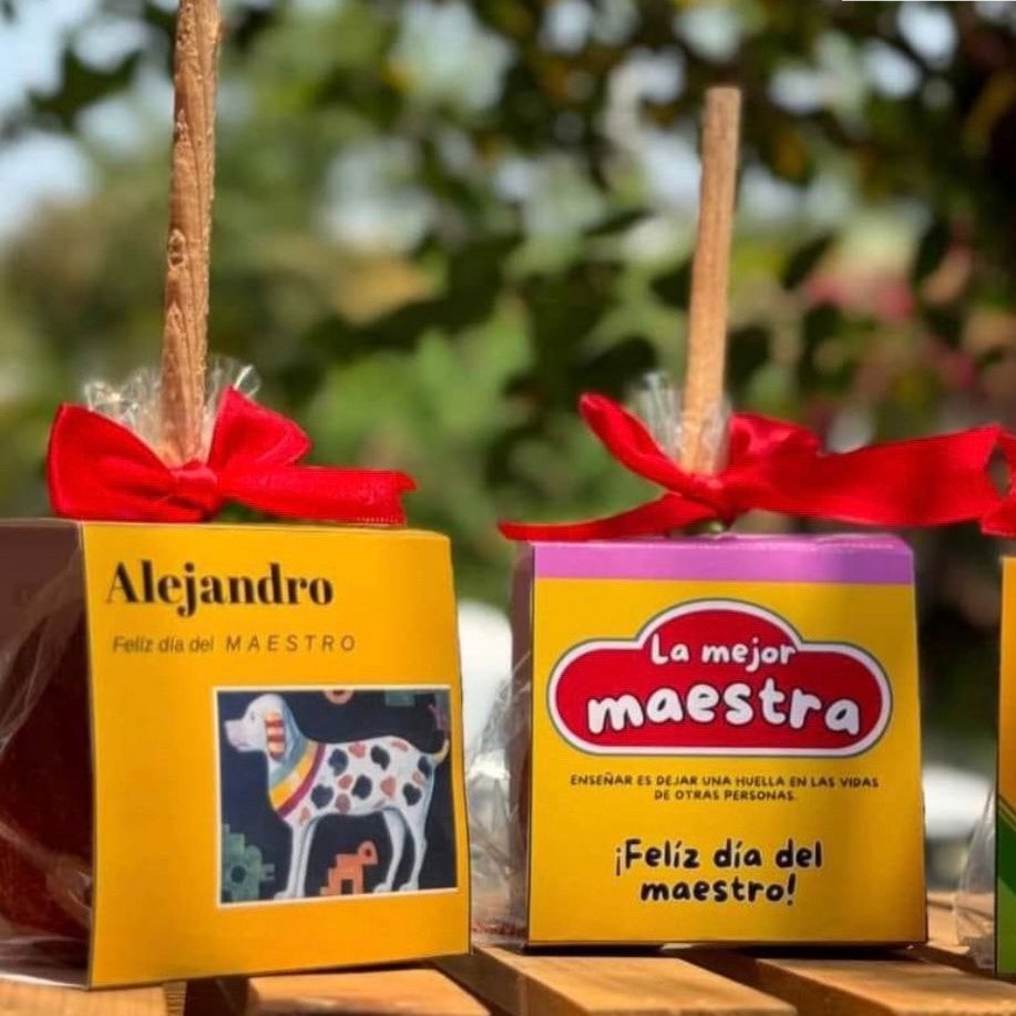 Día del Maestro