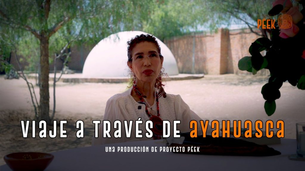 Viajes a través de la Ayahuasca