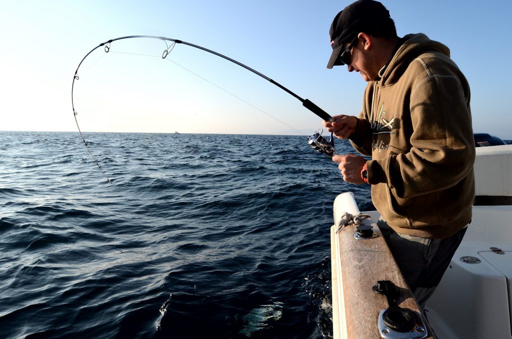 ¡Atención a todos los amantes de la pesca! 🎣 Estamos emocionados de anunciar la llegada de la Tercera Edición del Torneo Internacional de Pesca Deportiva “Maja el Grande” a la hermosa ciudad de La Paz, BCS.
