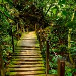 🌳 ¿Qué hace al ecoturismo en México tan especial? 