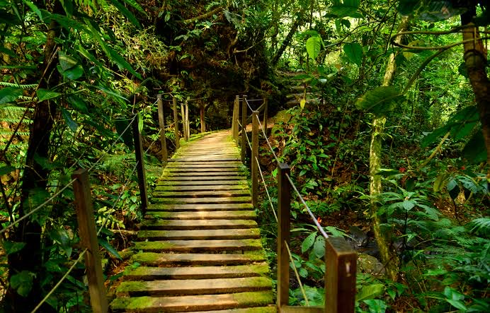 🌳 ¿Qué hace al ecoturismo en México tan especial? 