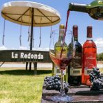 ¡Fiesta de la Vendimia en Viñedos La Redonda, Querétaro! 🍇🍷