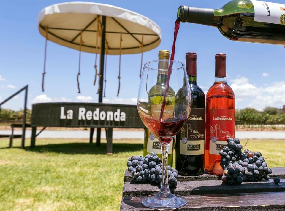 ¡Fiesta de la Vendimia en Viñedos La Redonda, Querétaro! 🍇🍷