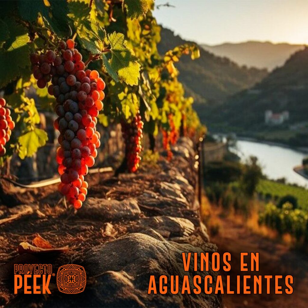¿Has probado estos vinos producidos en Aguascalientes?