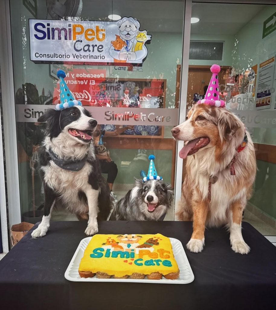 SimiPet Care: las veterinarias de Farmacias Similares que ofrecerán atención gratuita